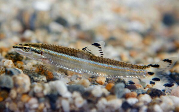 원본확인 클릭 BEWP0ZGCEAAngz3.jpg