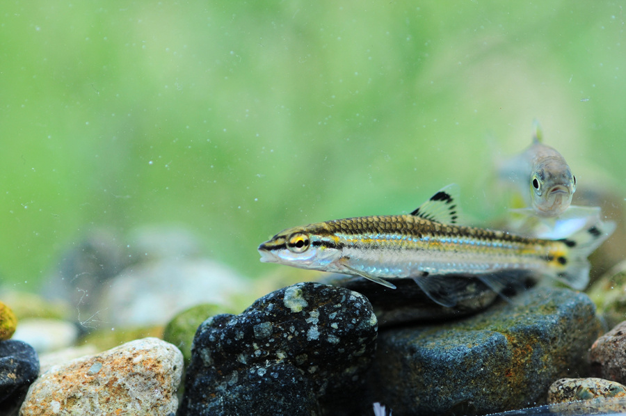 원본확인 클릭 et.jpg