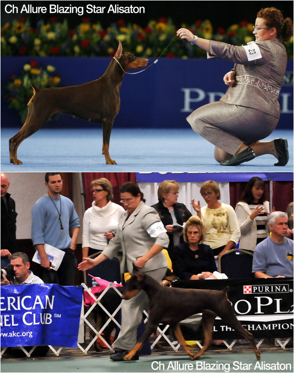 원본확인 클릭 cj_3.jpg