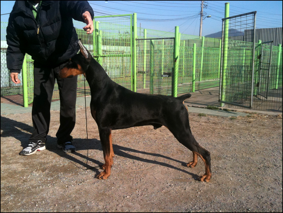 원본확인 클릭 바바 스테이2.jpg