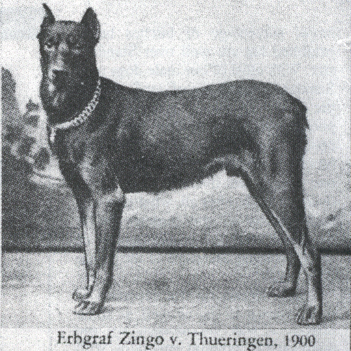 원본확인 클릭 1900dobe.gif