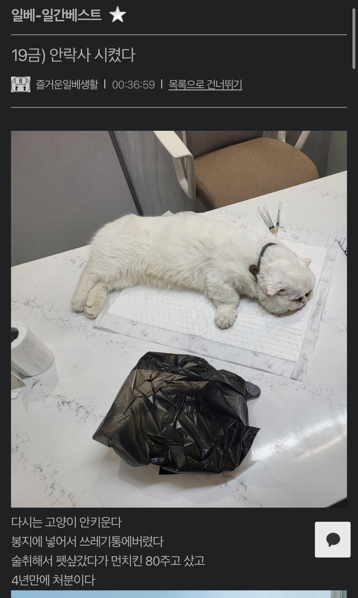 고양이 죽인놈 집앞이다 | 일베-일간베스트 | 일베저장소